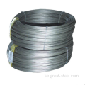 Rostfritt ståltråd, 304 316L trådnät
